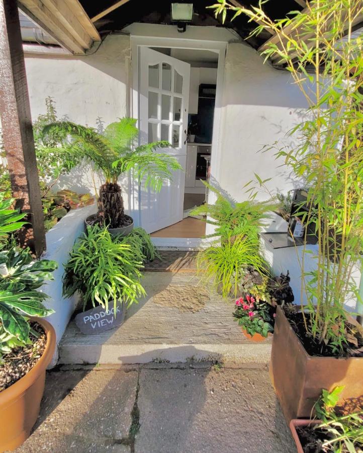 Idyllic Cornish Cottage, Superking Bed, Private Garden Dogs Welcome Труро Экстерьер фото