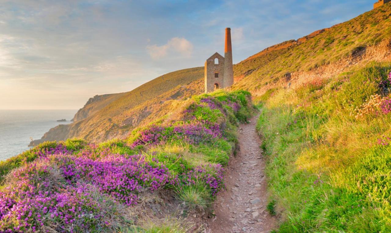 Idyllic Cornish Cottage, Superking Bed, Private Garden Dogs Welcome Труро Экстерьер фото