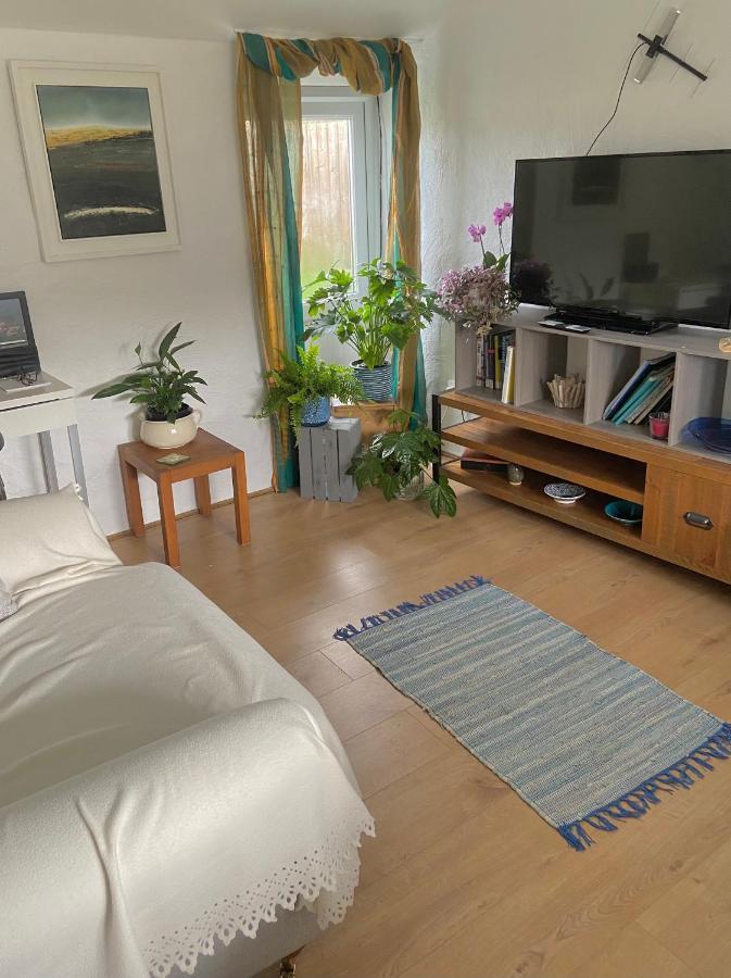 Idyllic Cornish Cottage, Superking Bed, Private Garden Dogs Welcome Труро Экстерьер фото