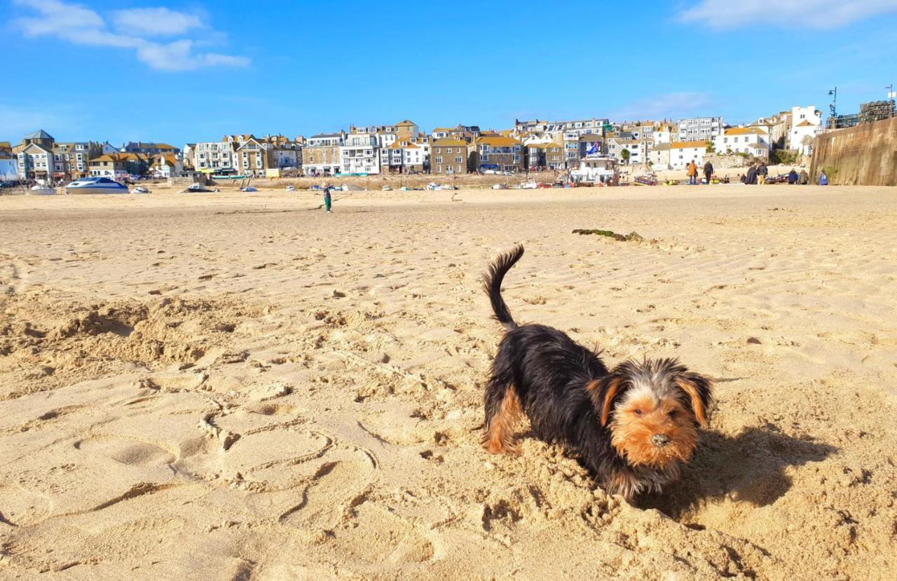 Idyllic Cornish Cottage, Superking Bed, Private Garden Dogs Welcome Труро Экстерьер фото