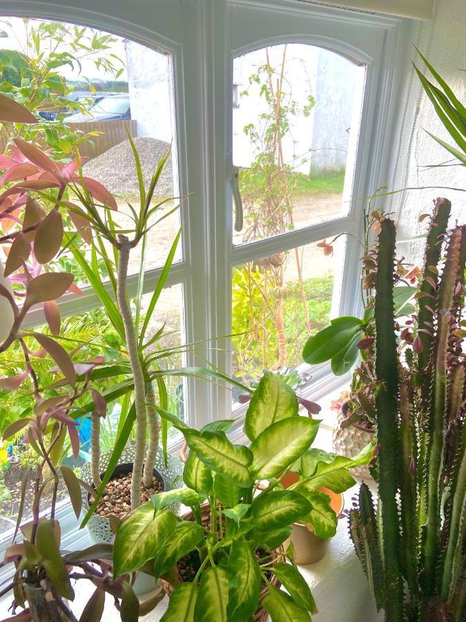 Idyllic Cornish Cottage, Superking Bed, Private Garden Dogs Welcome Труро Экстерьер фото